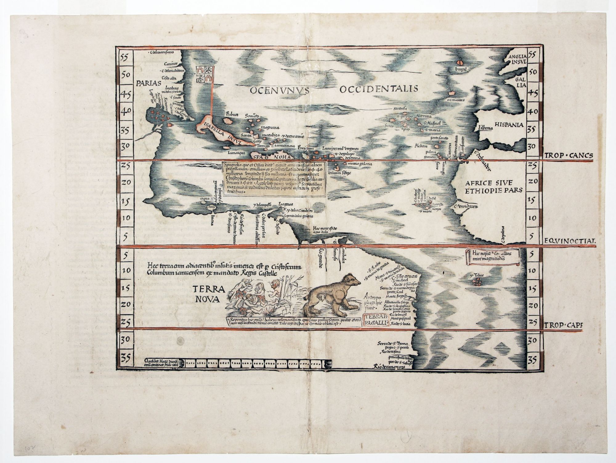 Untitled Woodcut Map Of The Americas | M./ FRIES WALDSEEMULLER, L