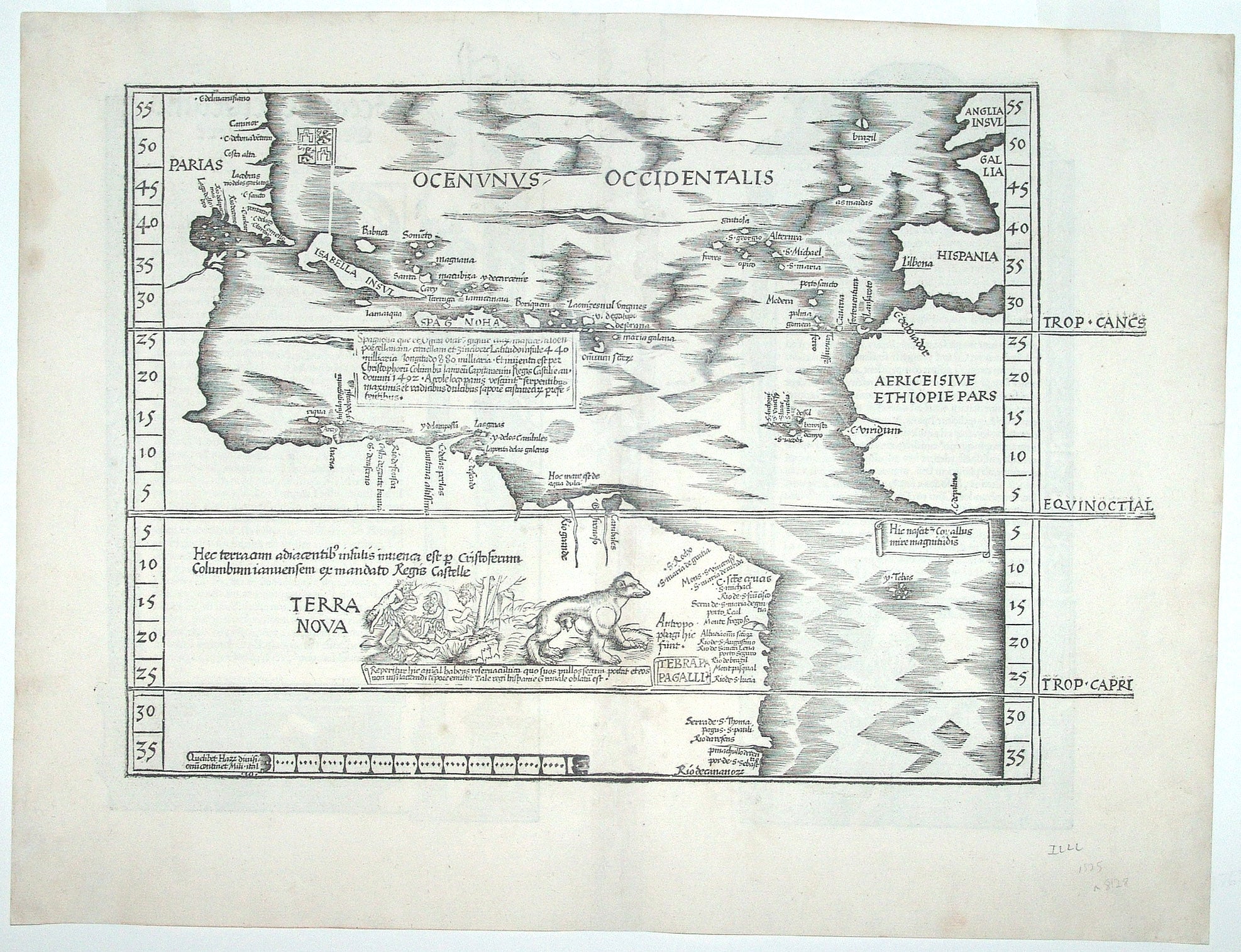 Untitled Woodcut Map | M./ FRIES WALDSEEMULLER, L